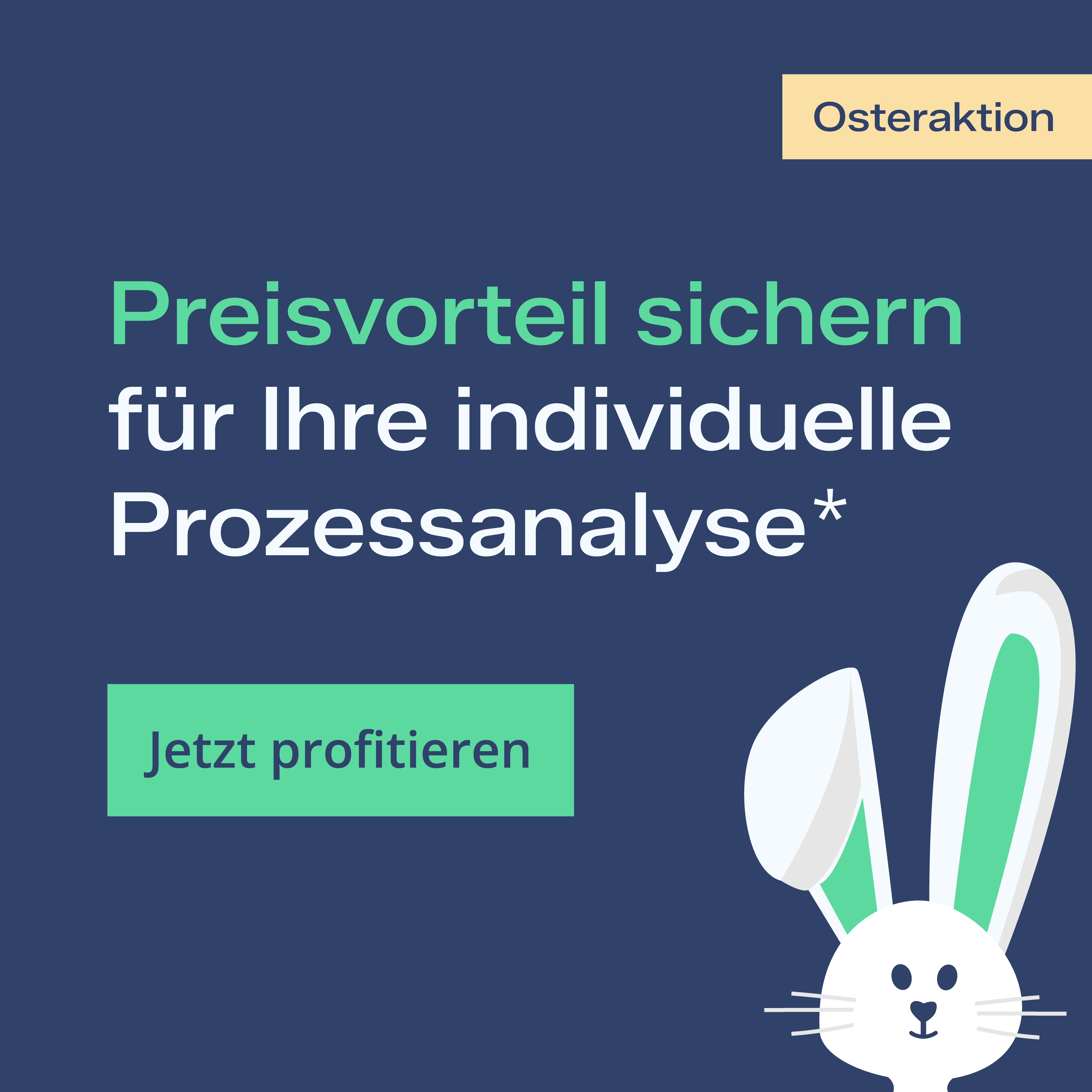 Osteraktion "Preisvorteil sichern für Ihre individuelle Prozessanalyse*"