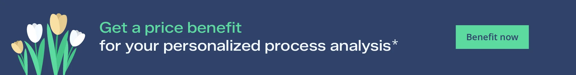 Spring exlusive "Get a price benefit for your personalized process analysis*"